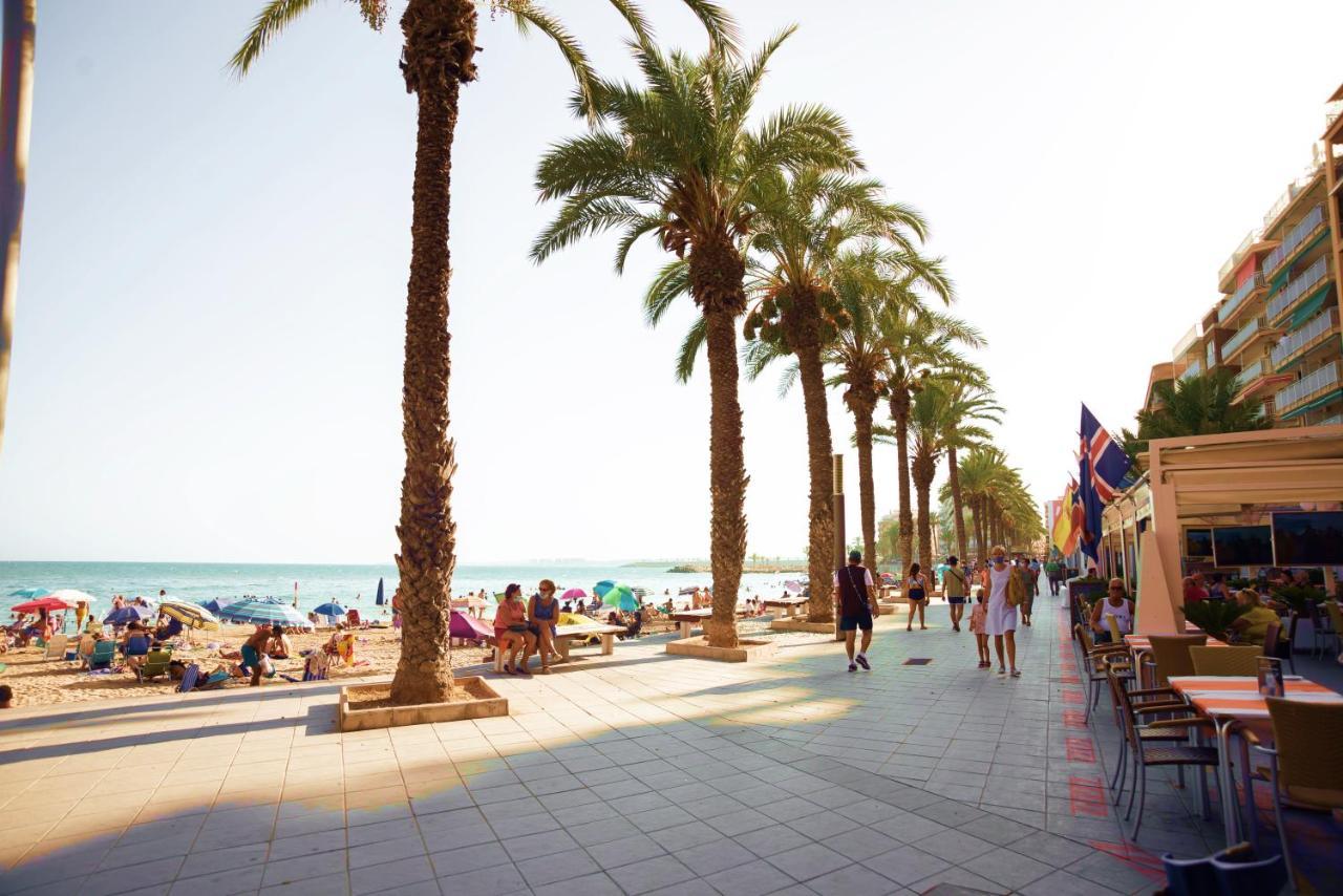 Holiday Studio Jardin Playa Torrevieja Eksteriør billede