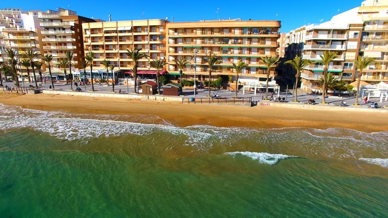 Holiday Studio Jardin Playa Torrevieja Eksteriør billede